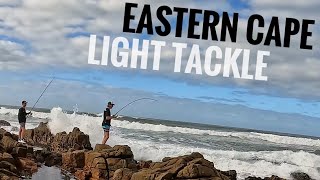 Light Tackle Fishing Rock and Surf and Estuary! (Blacktail, White Mussel Cracker, Kob and Grunter)