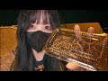 勢いで深夜に釣りに来た。【釣りライブ配信】