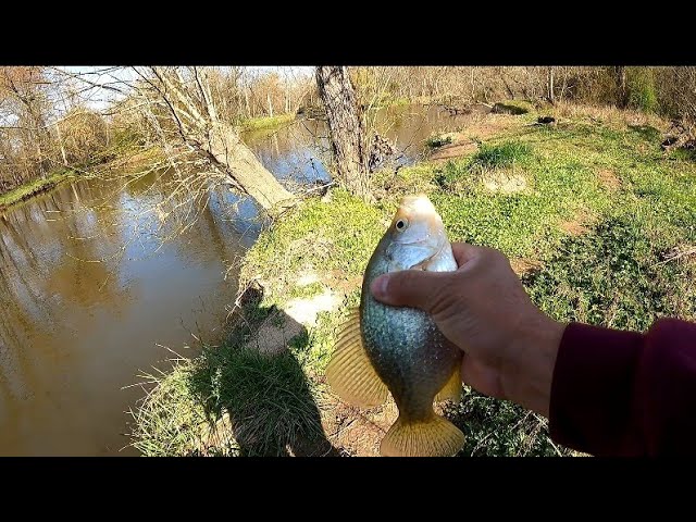 Field Test - KastKing Mountain Mist Fishing Gloves – Cold Winter