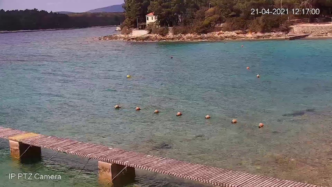 Camp Baldarin - live cam