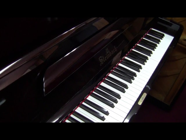 Steinbach S-2M 8309アップライトピアノ KAWAI K-114SX スノーホワイト艶出し仕上げ アップライトピアノ 88鍵盤 鍵盤楽器