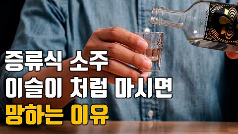 증류식 소주 맛있게 마시는 방법 보관법 초록병 소주처럼 마시면 돈 버리는 겁니다