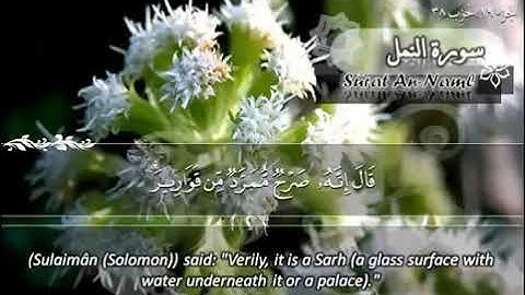 027 سورة النمل | ماهر المعيقلي Sûrat An Naml | Maher Al Muaiqly