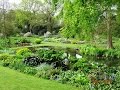 The Beth Chatto garden. England