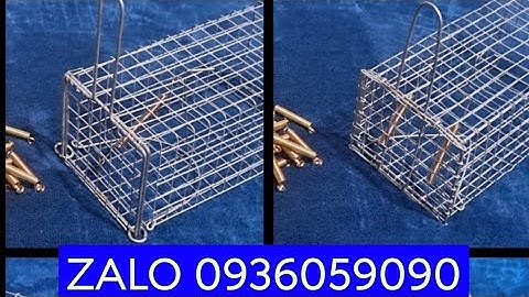 Bán rập chuột. Bán lồng bẫy chuột đồng. Bán lồng bẫy chuột đường mòn. Bán bẫy chuột.