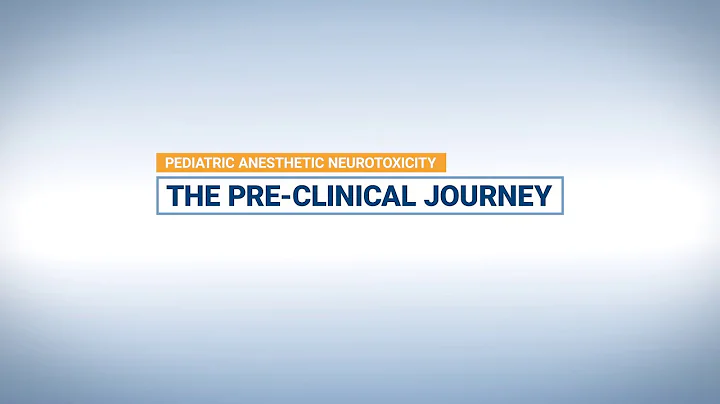 The Pre-clinical Journey: Pediatric Anesthetic Neurotoxicity