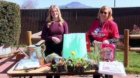 How to Protect Plants from Frost