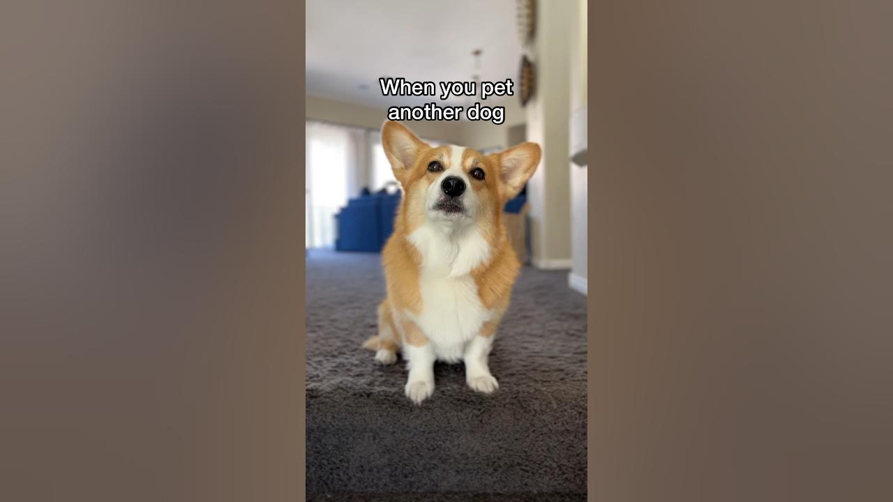 gets jealous YouTube