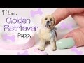 Miniature Golden Retriever Puppy Tutorial // Dolls/Dollhouse DIY