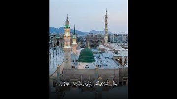 قاتلهم الله أنى يؤفكون - مقطع قرآني للقارئ عبدالله المنسلح