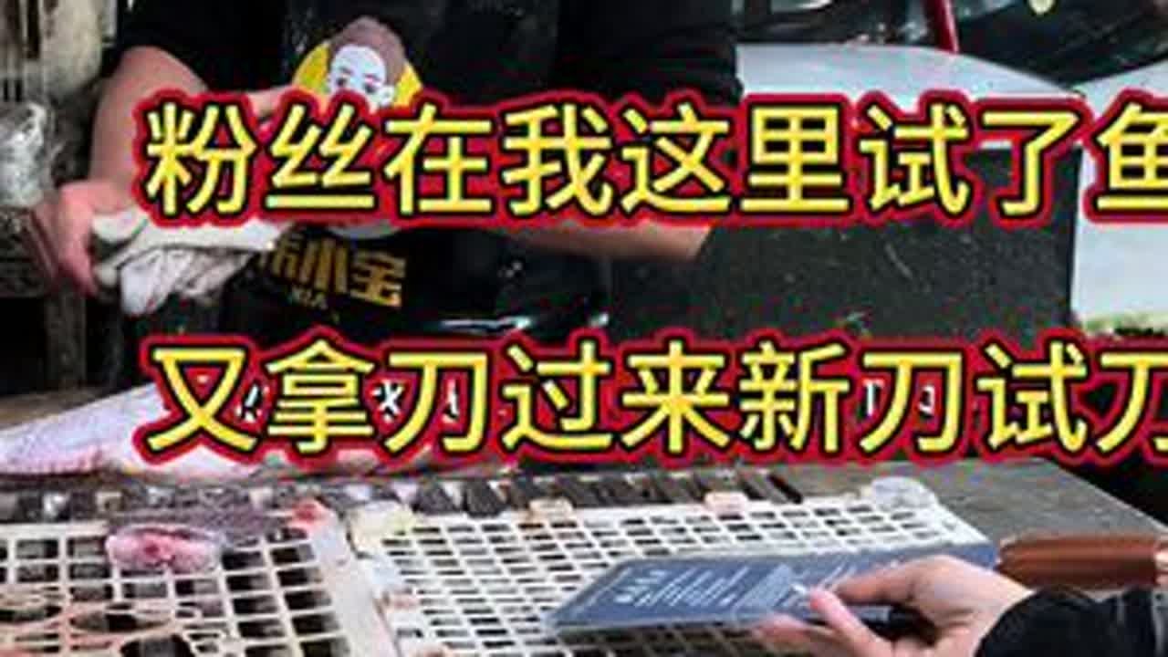 粉丝试完鱼，又要拿新刀试用！