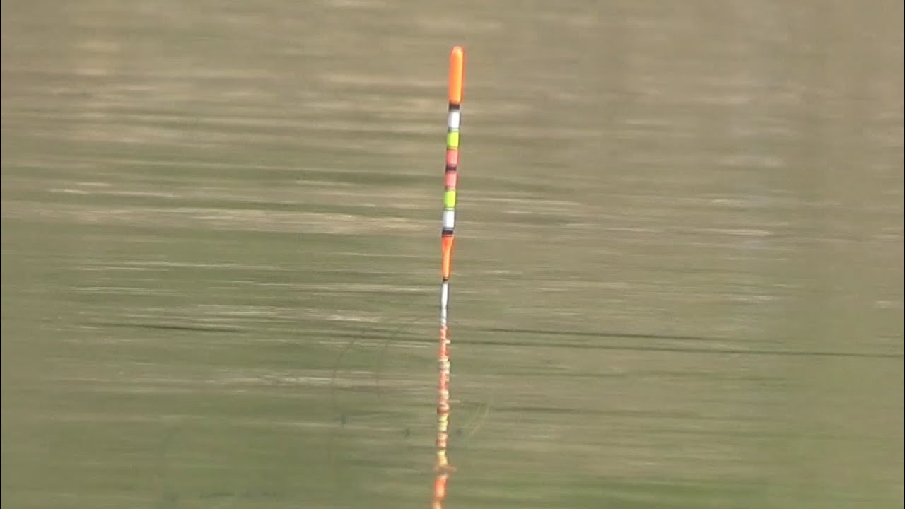 Spot Mancing Waduk Kedung Ombo Bagian Timur