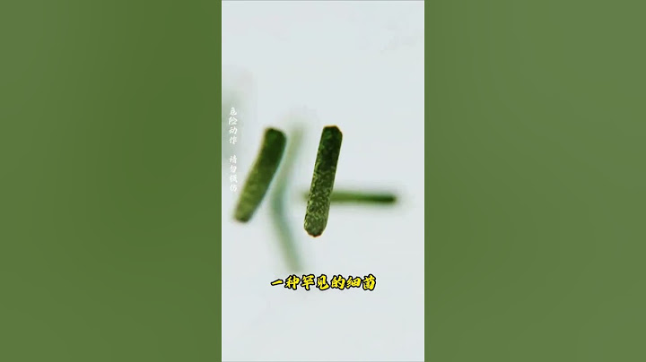 只因被小鱼吃了一口，女孩竟然失去了自己的脚趾，令人细思极恐 #科普 #知识 #冷知识