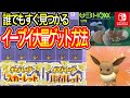 【ポケモンSV】誰でも簡単にイーブイをたくさんゲットする方法