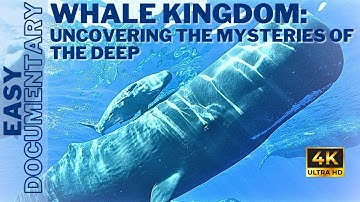 Whale Kingdom: Uncovering the Mysteries of the Deep - Full 4K UHD Documentary