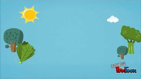 bank in uses of fund