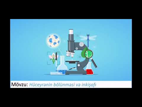 Video: Niyə toxumalar çoxhüceyrəli orqanizmlərdir?