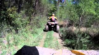 Can Am Renegade 800, Can Am Renegade 1000