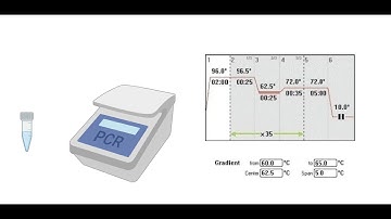 Gradient PCR | Principle