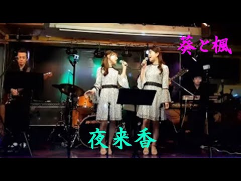 夜来香(2)　葵と楓