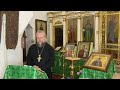 Антиохийская Православная Церковь. Арианские споры и Антиохийская схизма.