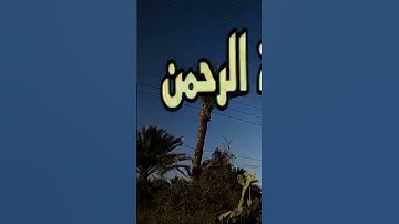 #الرحمن #تلاوة_قرآن #القرآن_الكريم #فضل_سورة_الرحمن #راحة_نفسية #تلاوة_خاشعة