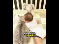 猫は赤ちゃんの本当のお父さんになったつもりでした 🐱👶