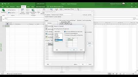 Changing calendar in MS Project