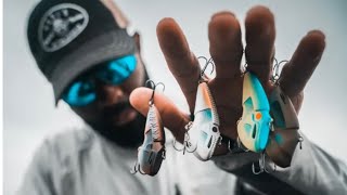 How To Retrieve Lipless Crankbaits