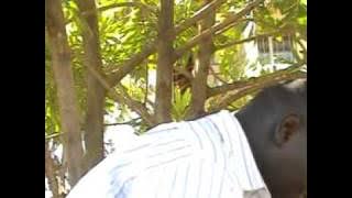Ngaruiya Junior - Mwathani wakwa njakaniria tawa ( VIDEO)