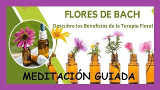 Capítulo #218:🙏🧘♂️ Meditación Guiada: SANA TU ENFERMEDAD con FLORES de BACH