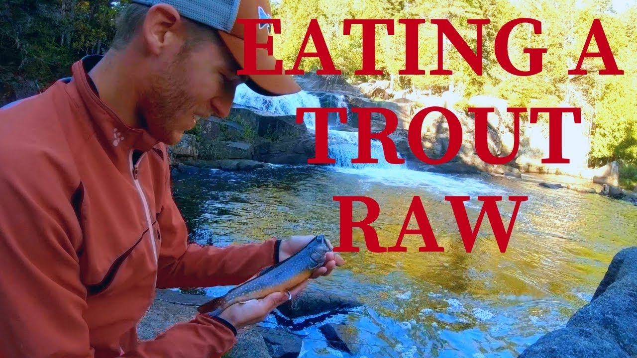 Eating Brook Trout Raw! (Catch And Eat?)
