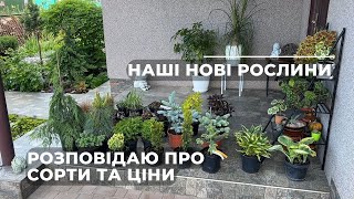 Наші нові рослини. Розповідаю про сорти та ціни