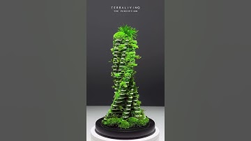 The Perception - a parametric preserved moss sculpture by TerraLiving