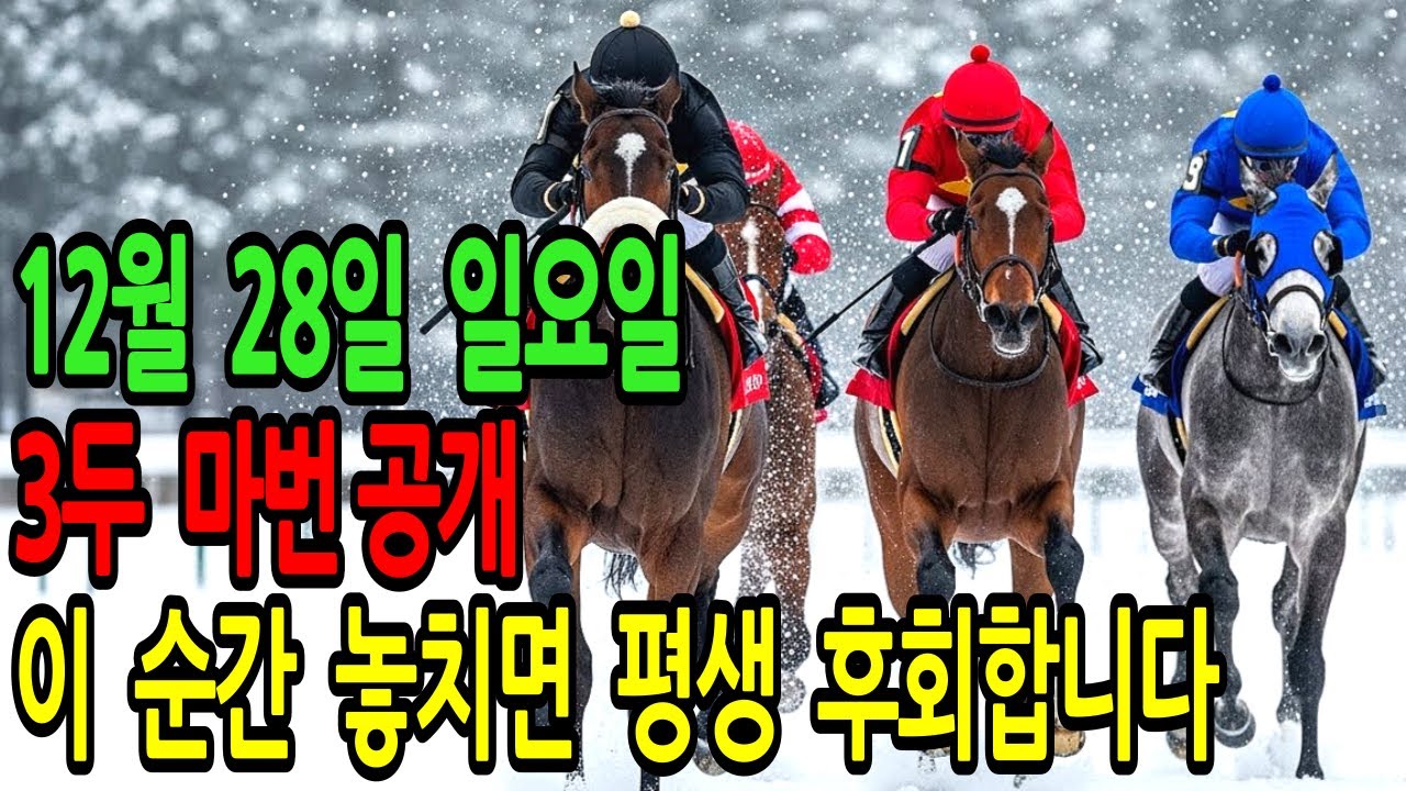 12월 28일 일요일 경마~“오늘 이 정보 못 보면 당신은 반드시 후회합니다.”ㅣ승전경마 전문가의 이변 포착 l 경마 l 경마예상 l 코리아레이스 l 검빛경마 ㅣ경마정보