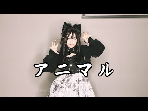 【Ayano】アニマル animal【 踊ってみた】