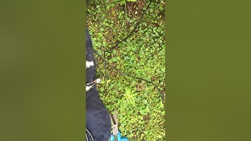 LOG RX Antenna ‘loop on the ground ‘