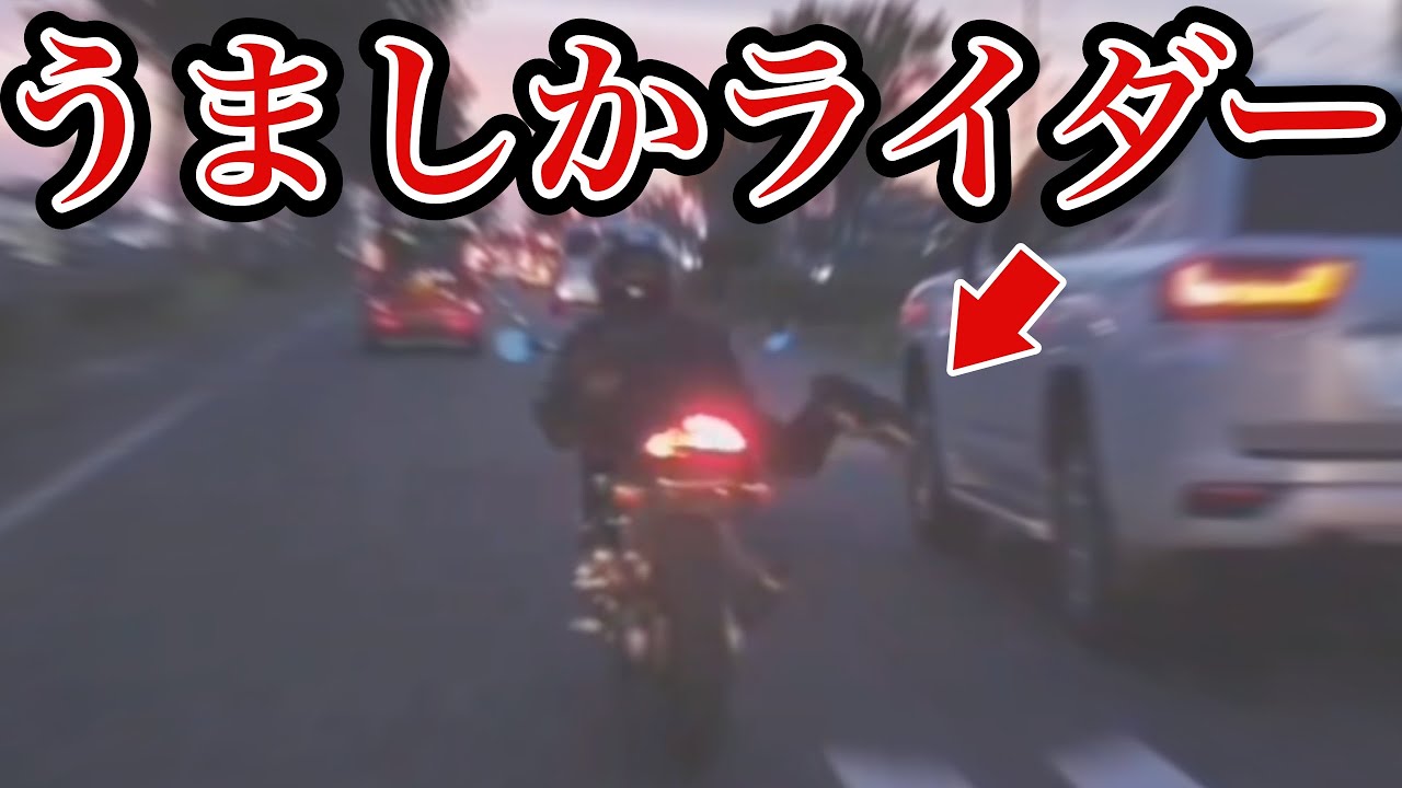 【ドラレコ映像】うましかさん！こんにちは！緊急事態発生！ドラレコ事故の瞬間【交通安全推進、危険予知トレーニング】