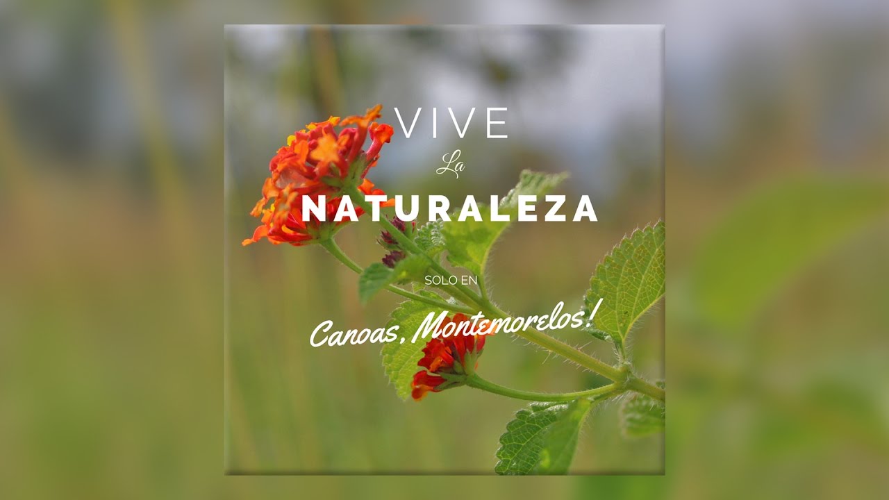 Vive la Naturaleza en Canoas, Montemorelos, NL. By Nexox Mx YouTube