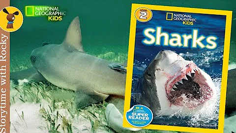 NATIONAL GEOGRAPHIC KIDS READERS: SHARKS