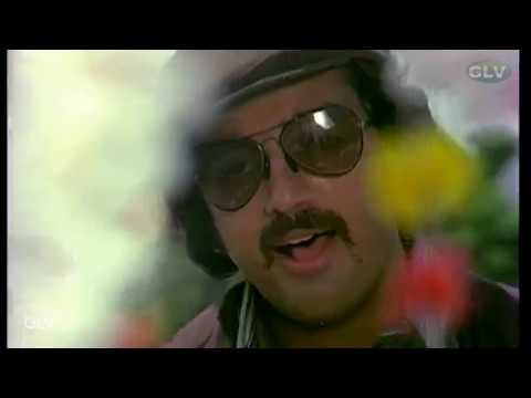 Ninaivo Oru Paravai Songs  Sigappu Rojakkal  Kamal HassanSri Devi  SJanaki  Ilaiyaraaja