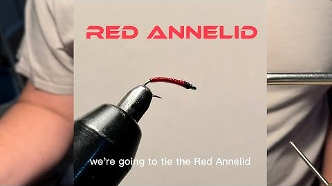 How to Make your Flies Pop! - Tying the Red Annelid. jarvisfishing.com