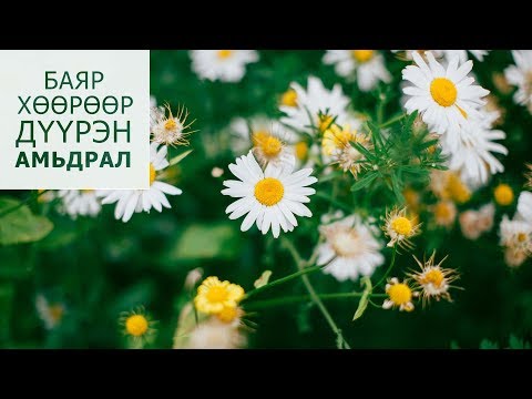 Видео: Даруу байдлын архитектур