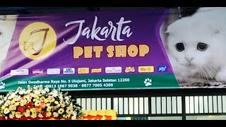 Jakarta Petshop, Lengkap dan Bersahabat