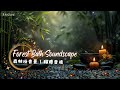 Forest bath soundscape  zenbinaurals zen mindfulness relaxingnature      