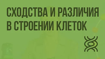 Сходства и различия в строении клеток растений, животных, грибов. Видеоурок по биологии 10 класс