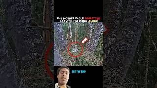 #nature #baby #respect #youtube#subscribe #shorts #video #viral Baj#🦅🦅🦅