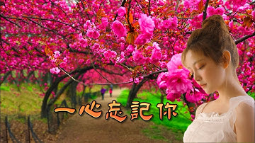 [印尼客家歌曲] 一心忘記你-Lily Wu (Hakka song)