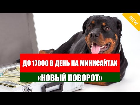 Заработать деньги за 5 дней