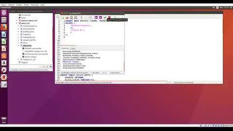 Firebird - Criando Tabelas com Flamerobin (pt02)